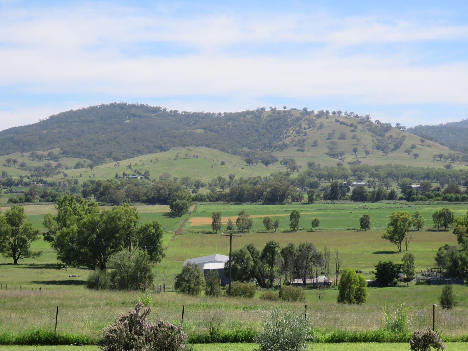 Green farmland and rolling hills in the NSW hinterland